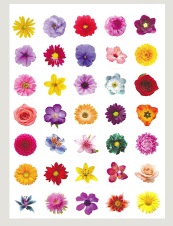 STICKER FLOWER DOT REALISTIC 3/4" 10 SHEETS - Creative Kids