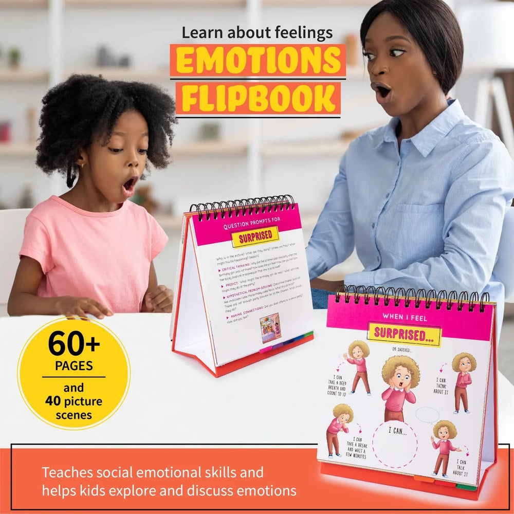 Emotions and Feelings Flipbook