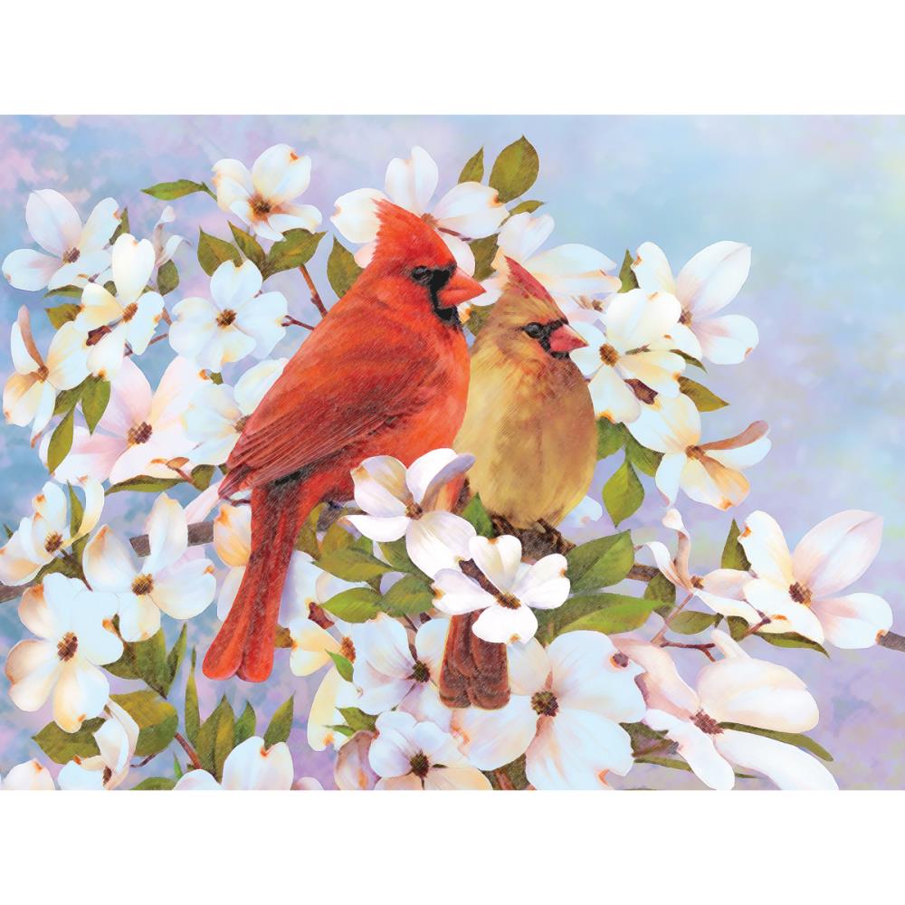 COLOR BY NUMBER - CARDINALS