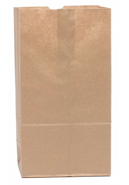 BROWN PAPER CRAFT BAG 4.25"X8" - 50 PACK