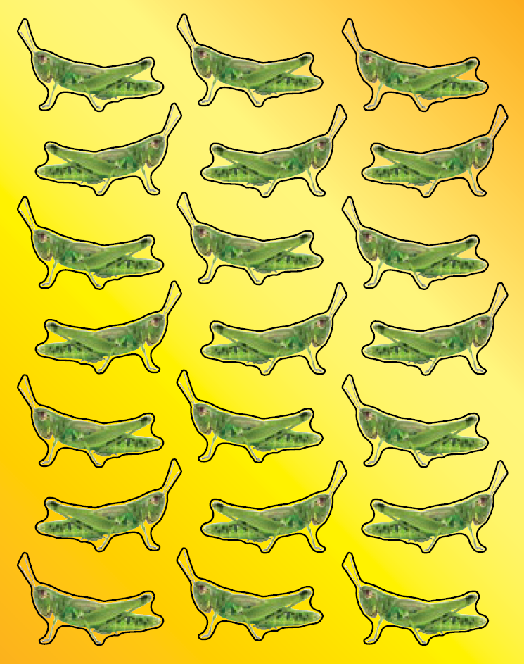 STICKERS: GRASSHOPPER REALISTIC 6 SHEETS