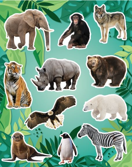 STICKER: ZOO ANIMALS 6 SHEET