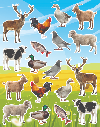 STICKERS: KOSHER ANIMALS - 6 SHEETS