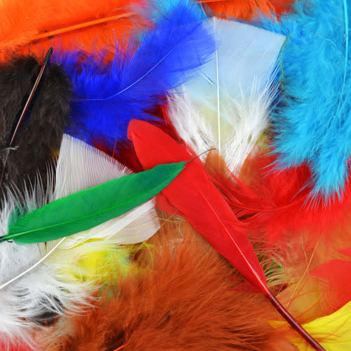 FEATHERS: BRIGHT ASSORTED  71 GRAMS