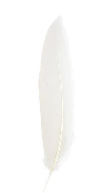 Goose Wing Rounds Feathers White 12 Pack - Creative Kids