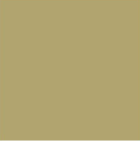 GIFT WRAPPING PAPER: METALLIC GOLD VALUE 30&