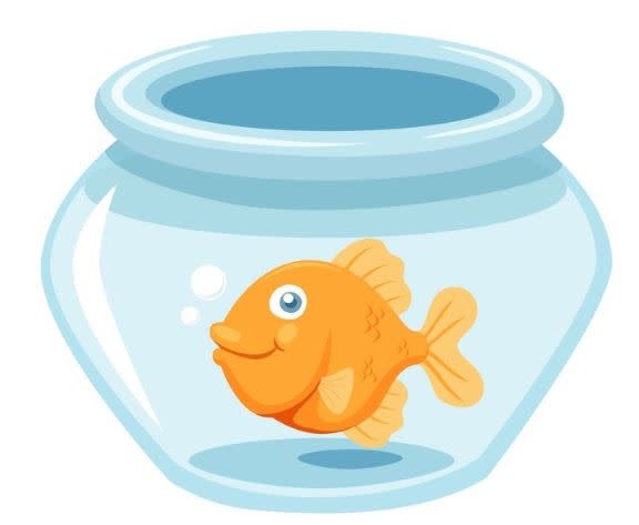 PAINT BY NUMBER: 10X10 FISH BOWL