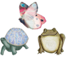 CUT OUT: CURIOSITY GARDEN ASSORTED 36PC
