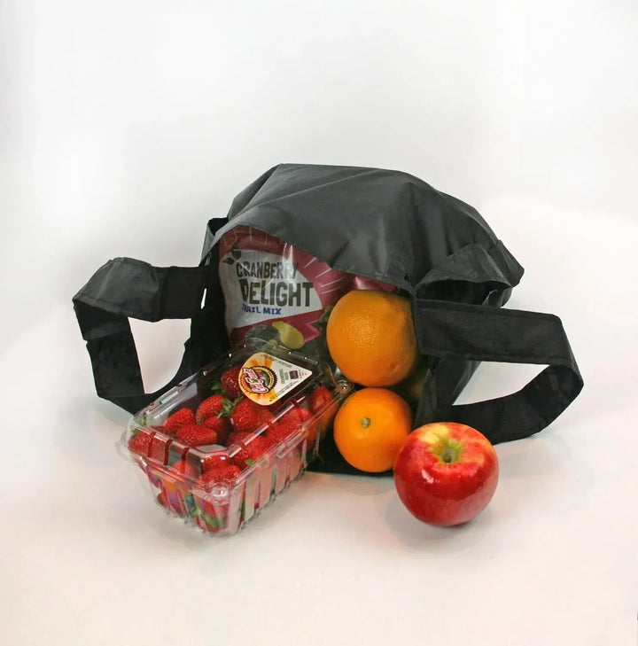 TOTE or Back Pack - CAMP BAG -  BLUE or BLACK