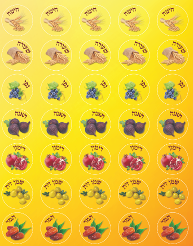 STICKERS SHIVAS HAMINIM 6 SHEETS - Creative Kids
