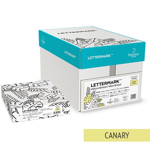 Vellum Bristol Cardstock 67lb 8.5"x11" 250 Pack