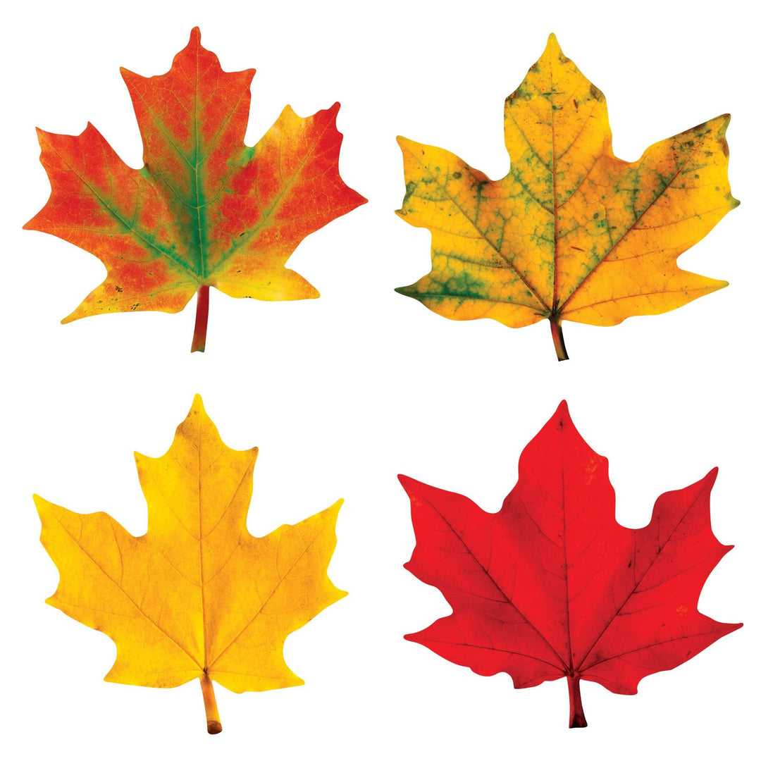 CLASSIC ACCENTS: MAPLE LEAVES