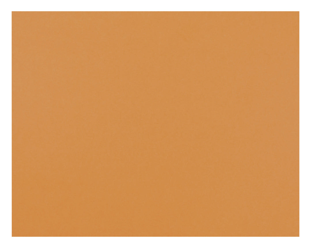 Oak Tag 22"x28" 100 Pack