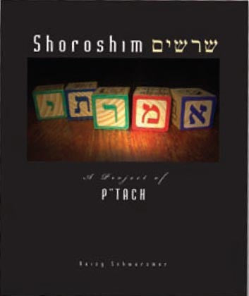 SHOROSHIM WORKBOOK