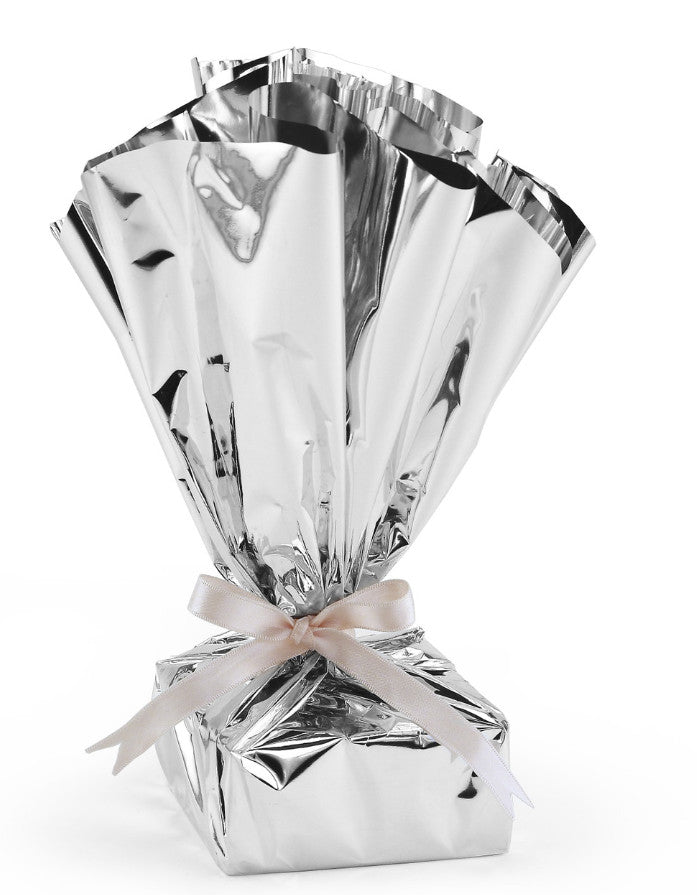 MYLAR - 24" x 8.3&