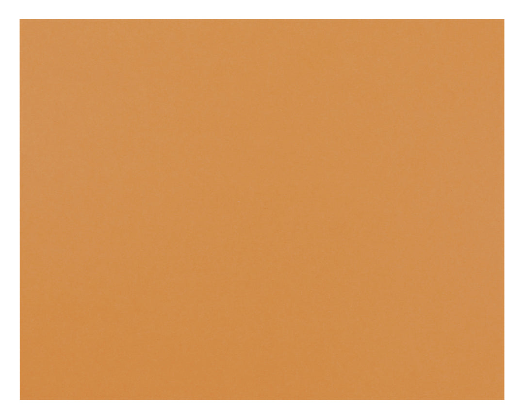 OAK TAG: 22x28, REGULAR ORANGE