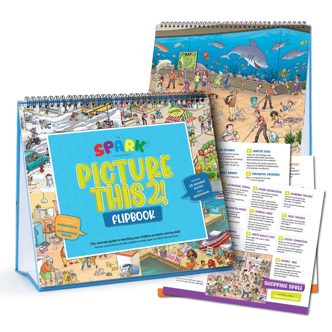 PICTURE THIS FLIP BOOK 