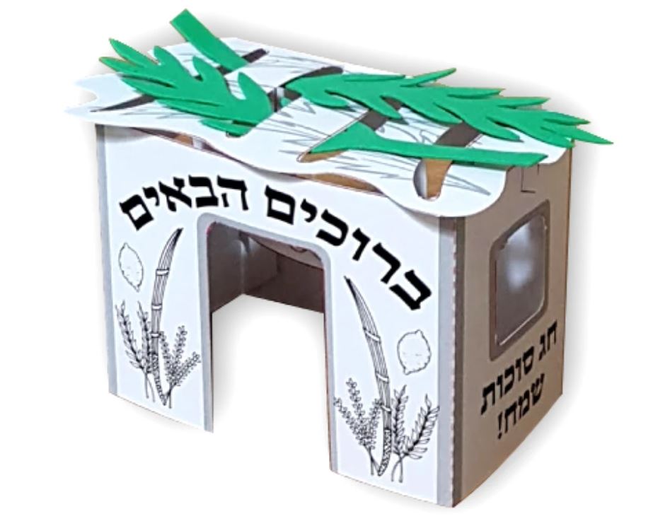 CRAFT: 3D SUKKAH PROJECT 10 SETS