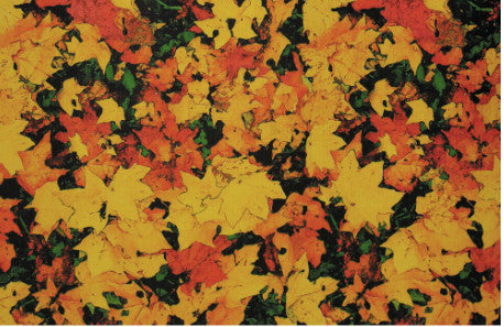 FADELESS  BACKING PAPER 48" x 12&