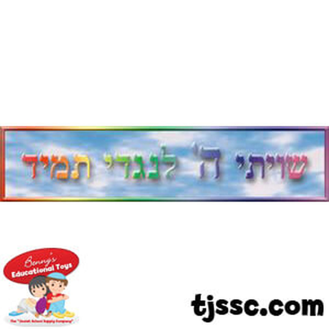 BANNER: SHIVITI HASHEM 6.5"X27"