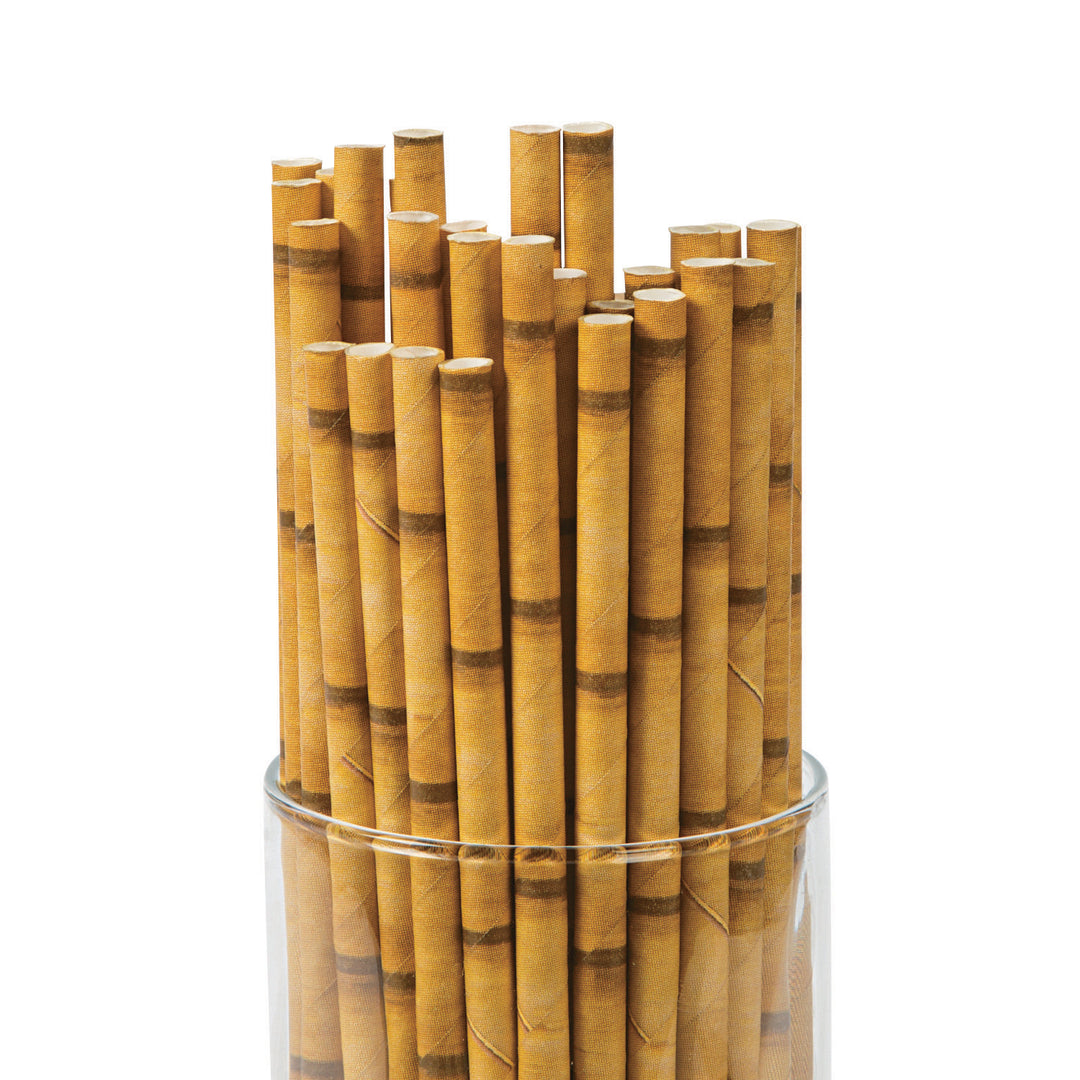 BAMBOO PAPER STRAWS - 24 PACK
