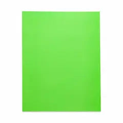 Oak Tag 22"x28"   Light Green 25 Pack